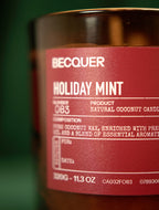 Christmas Series | Natural Candle | 320g