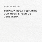 Rio Night | Roll On Extrait de Parfume  | 10 ml